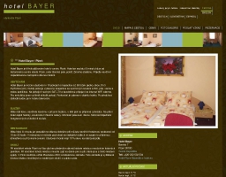 Hotel Bayer ubytování Plzeň